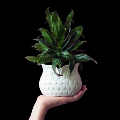 Ceramic Pots